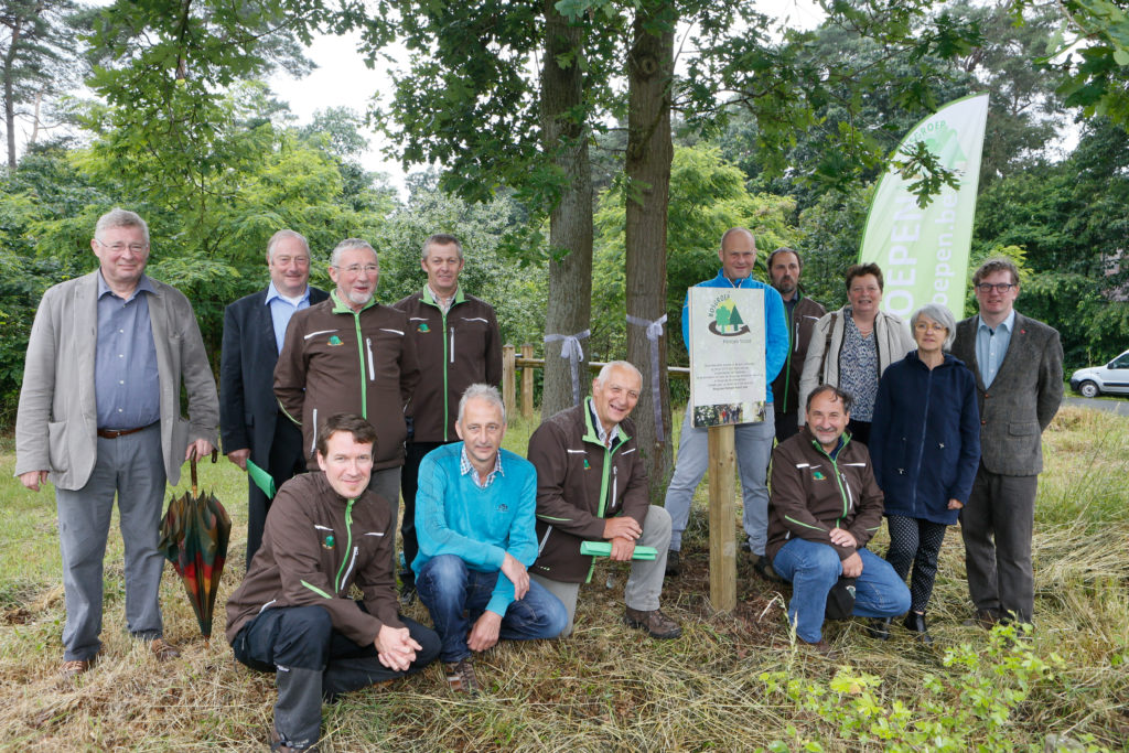 Kempense Bosgroepen Bundelen Krachten In Nieuwe Vzw Bosgroep Kempen ...