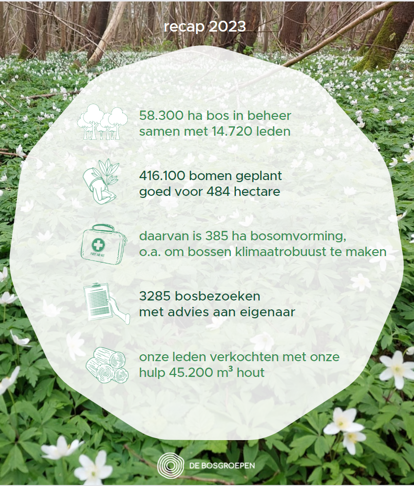 Recap 2023 De Bosgroepen